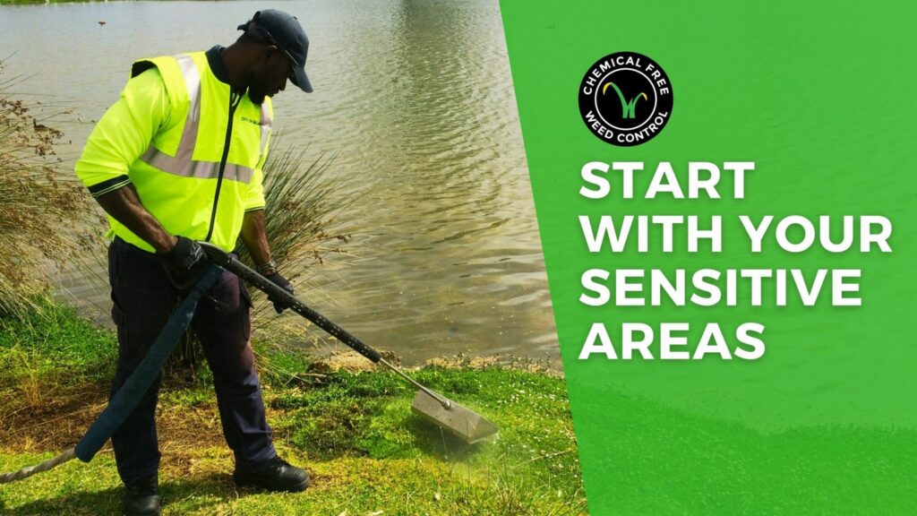 This is a blog cover image that shows organic weed control in an environmentally sensitive area