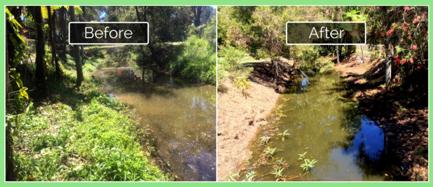 Satusteam weed control by Weedtechnics before and after beside a waterway