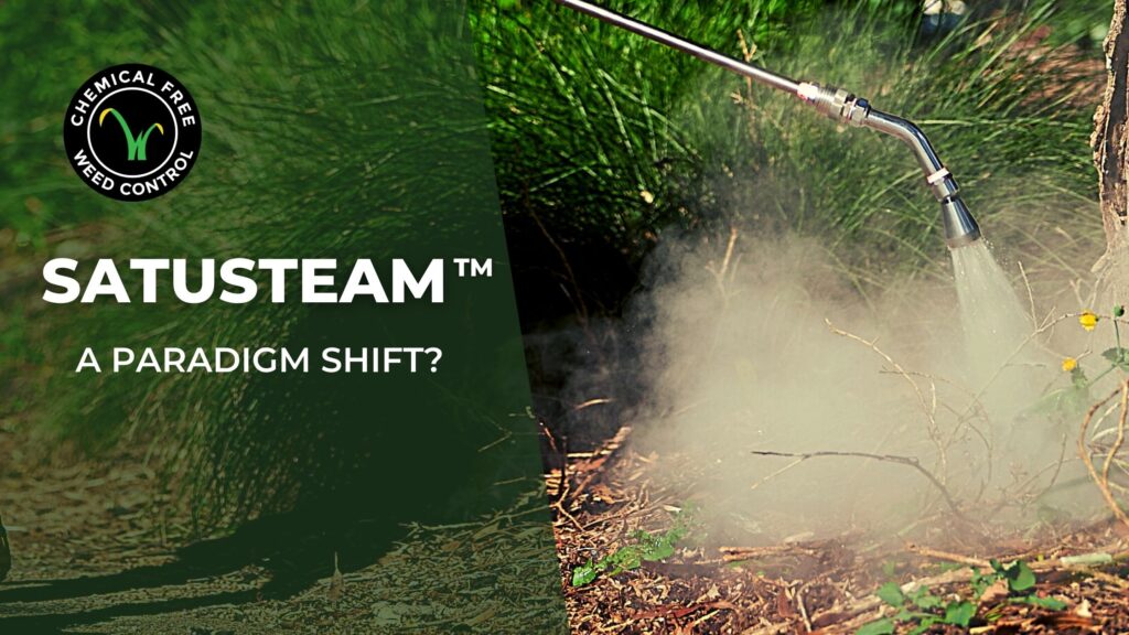 Blog Cover for the post Is Satusteam a Paradigm Shift?