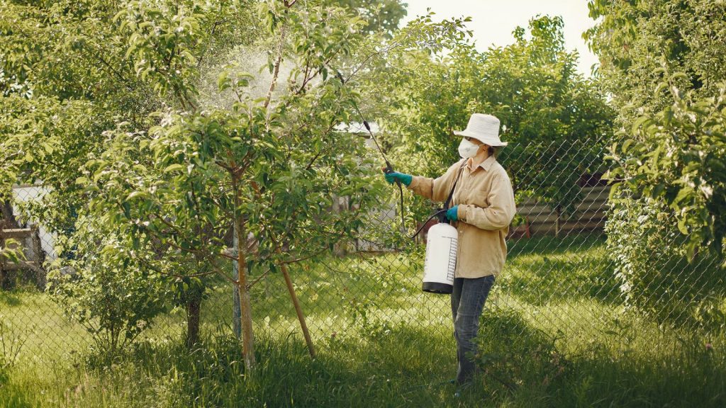 A woman spraying organic herbicides