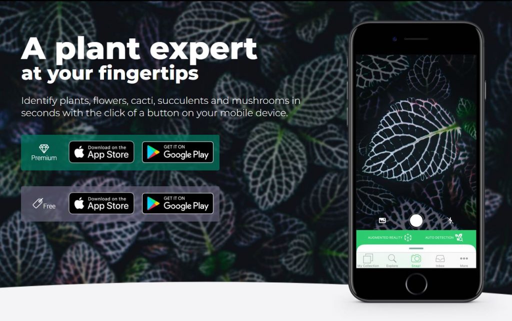PlantSnap Mobile Weed Identification tool