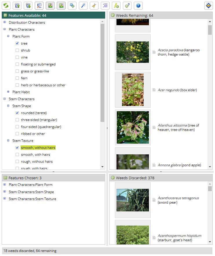 A screenshot of Weed Identification Tool by Weeds Australia. 