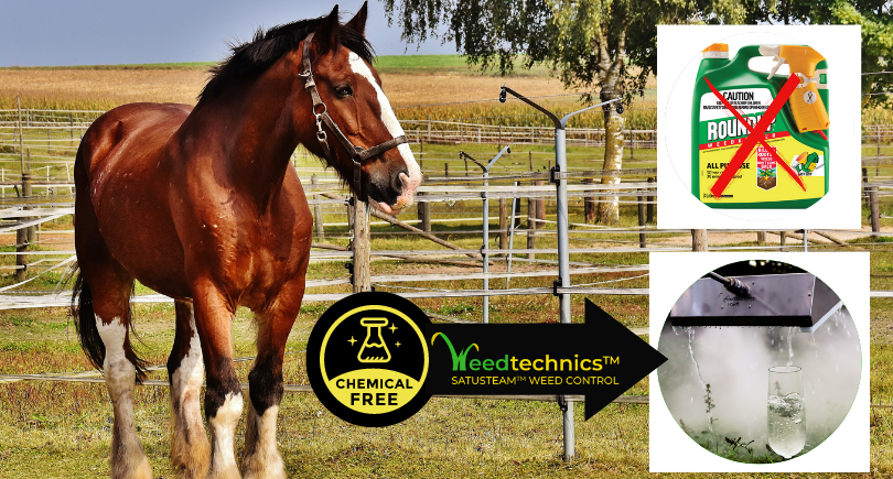 Elevate Horse Care: WeedTechnics Steam Weeding for Pristine Stables, Paddocks, and Arenas! 🐴🌿🔥