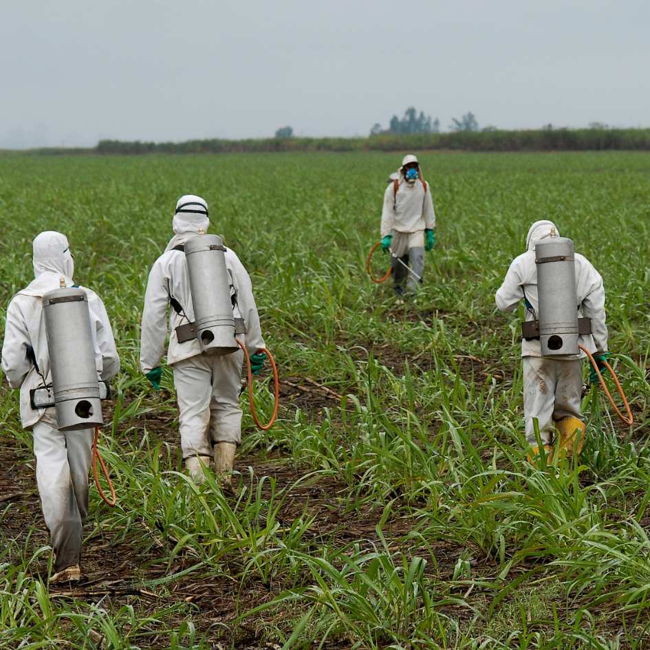 SatusTeam™, in collaboration with WeedTechnics, offers a superior alternative to traditional herbicides. Recent research highlights the potential health risks of glyphosate-based herbicides, whereas SatusTeam™ provides organic, chemical-free weed control solutions. With cutting-edge technology and sustainable practices, they safeguard human health and the environment. This pioneering approach not only addresses glyphosate concerns but also promotes a safer, healthier future. StatusTeam™ and WeedTechnics lead the way in responsible, credible, and effective weed control, making them the preferred choice over conventional herbicides.

