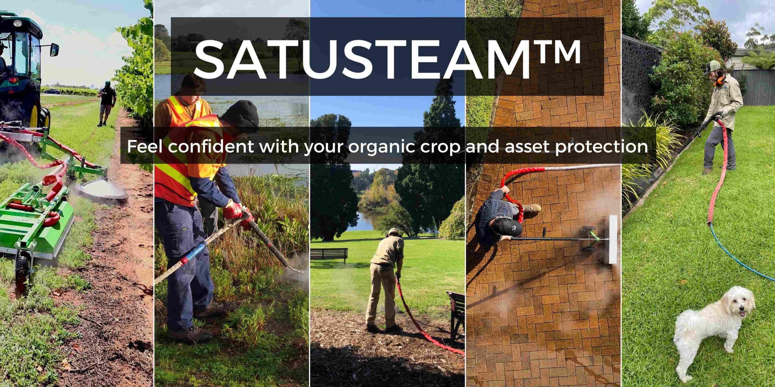 "SatusteamTM weed control technology by Weedtechnics: A chemical-free, eco-friendly solution using high-temperature steam for effective weed management."