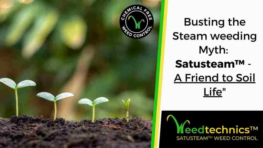 Steam Weeding for Soil Health - Chemical-Free Garden Care