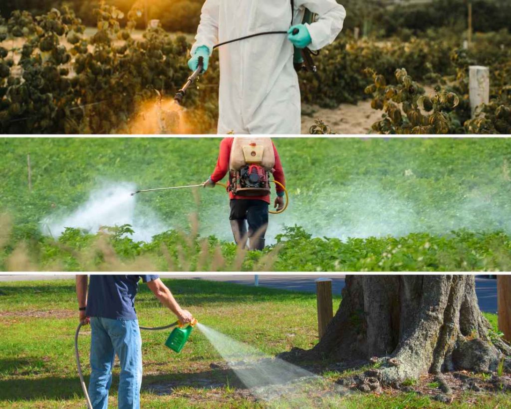 Harmful roundup herbicide costs