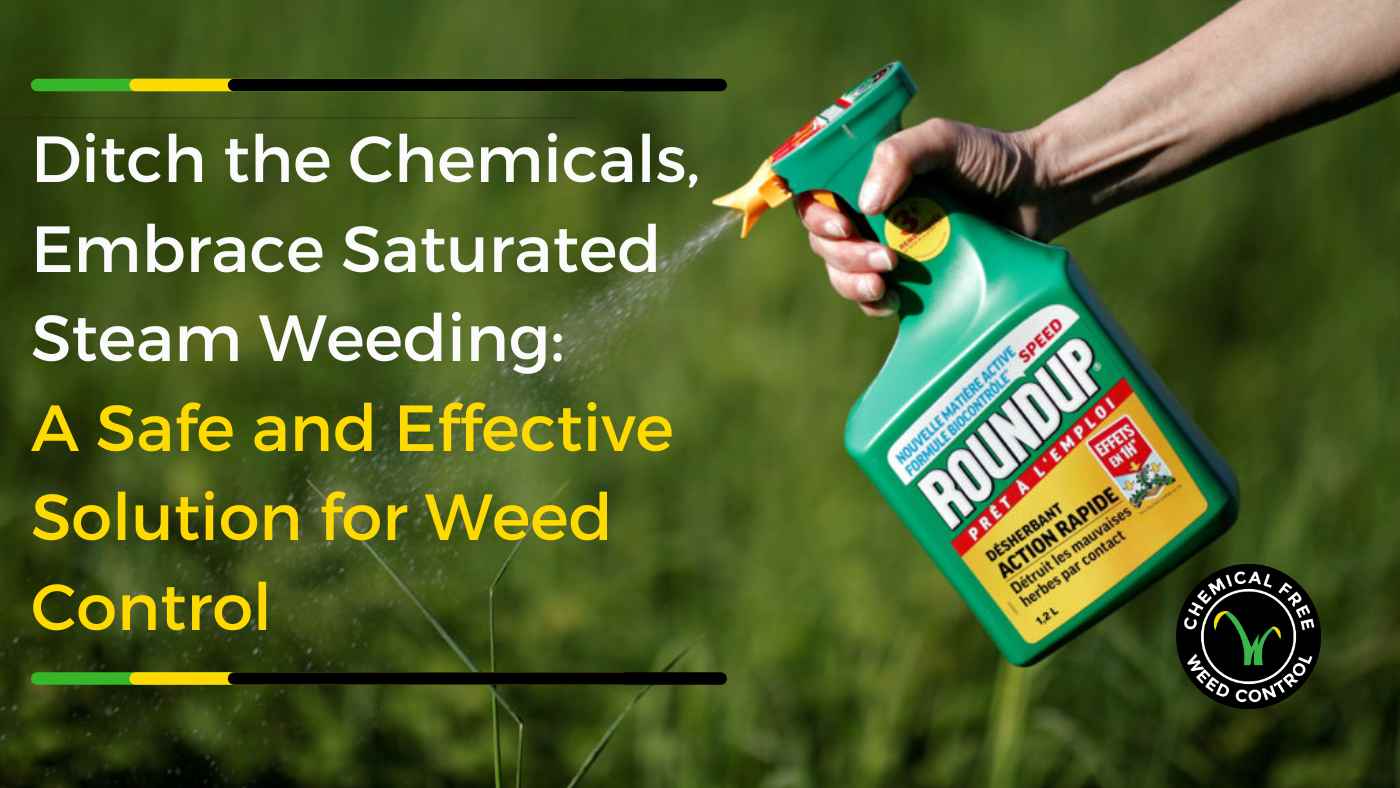 Looking for an alternative to Roundup?