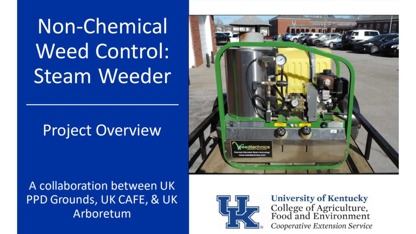 Steam weeder proven results by university of kentucky
