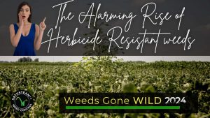 How to manage herbicide resistant weeds effectively