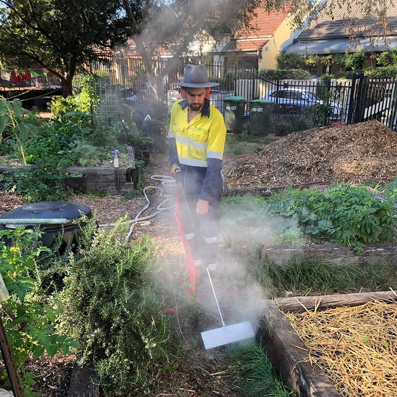 IMG3_SW800_community_garden_in_a_school_camdenville_square_format