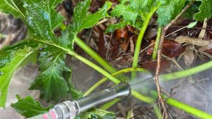Introducing the Satusteam™ Spike Kit: Your eco-conscious answer to rooty weed challenges. Harness the power of steam to eradicate roots, avoiding harmful chemicals. Say farewell to invasive weeds and hello to a sustainable landscaping solution.