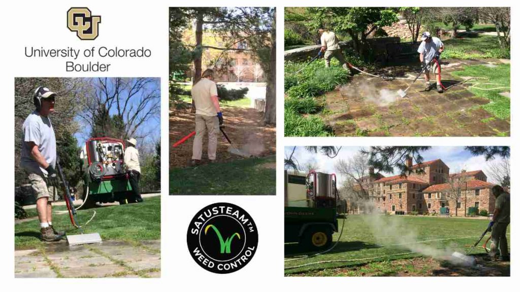 CU Boulder university steam weeding solution for the last 8 years.